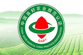 中國良好農業(yè)規范GAP認證